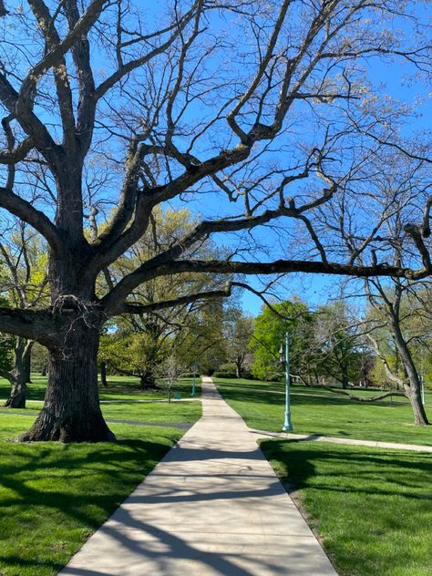 #aesthetic #oldbuilding #redbricks #campus #college #university #MSU #michiganstate #michigan #garden #path University Campus Aesthetic, College Campus Aesthetic, Michigan State University Campus, Michigan Garden, Campus Aesthetic, Island Aesthetic, Michigan State University, Garden Path, College Campus