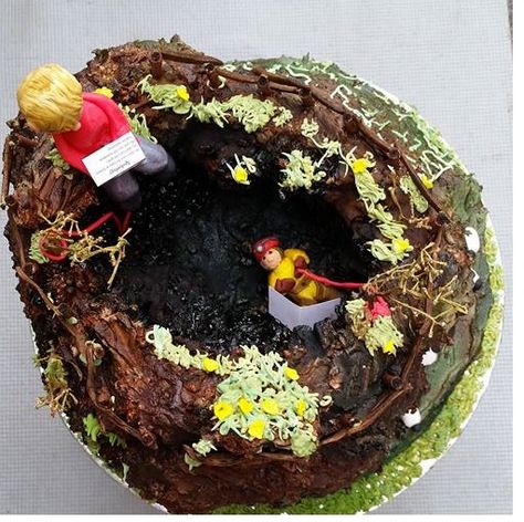 Cave cake Cave Theme Party, Cave Activity, Cave Cake Ideas, Cave Cake, Cave Art Projects For Kids, Lush Cave Builds, Cool Cake Designs, Camping Party, Edible Cake