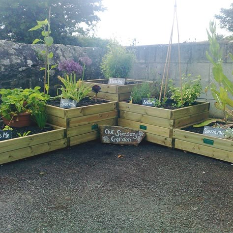 Outdoor Gardening Area Eyfs, Eyfs Sensory Garden, Outdoor Classroom Garden, Sensory Eyfs, Sensory Plants, Sensory Garden For Kids, Plants In Nursery, Eyfs Garden, School Outdoor Area