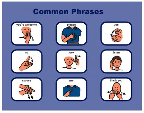 #asl #signlanguageforkids #common #phrases #signs Basic Asl, Asl Vocabulary, Australian Sign Language, Makaton Signs, Asl Sign Language Words, Sign Language Chart, Sign Language For Kids, Sign Language Phrases, Social Service