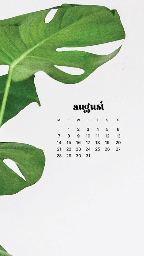 August 2023 wallpapers – 40 FREEBIES for desktop & phones! August Wallpaper 2023, August Wallpaper Iphone, August 2023 Wallpaper, Wallpaper August, 2023 Wallpapers, August Wallpaper, Journal Things, August Calendar, Best Wallpaper Hd