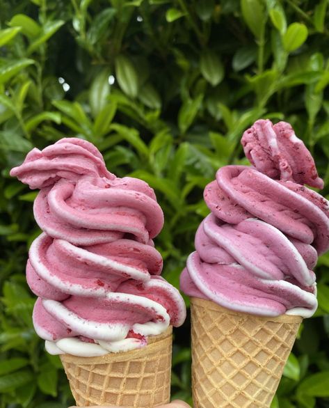 New Zealand Ice Cream, Real Fruit Ice Cream New Zealand, Fresh Fruit Ice Cream, Real Fruit Ice Cream, Fruit Stall, Ice Cream Images, Ice Cream Menu, Donut Ice Cream, Yogurt Popsicles