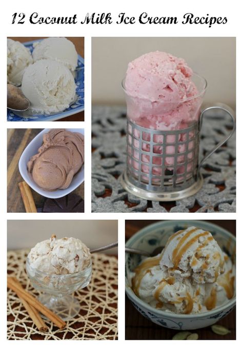 Coconut Milk Ice Cream Recipe, Milk Ideas, Paleo Ice Cream, Ice Cream Recipes Machine, Dairy Free Coffee, Cuisinart Ice Cream Maker, Coconut Milk Ice Cream, Ice Cream Maker Recipes, Cookie Dough Ice Cream