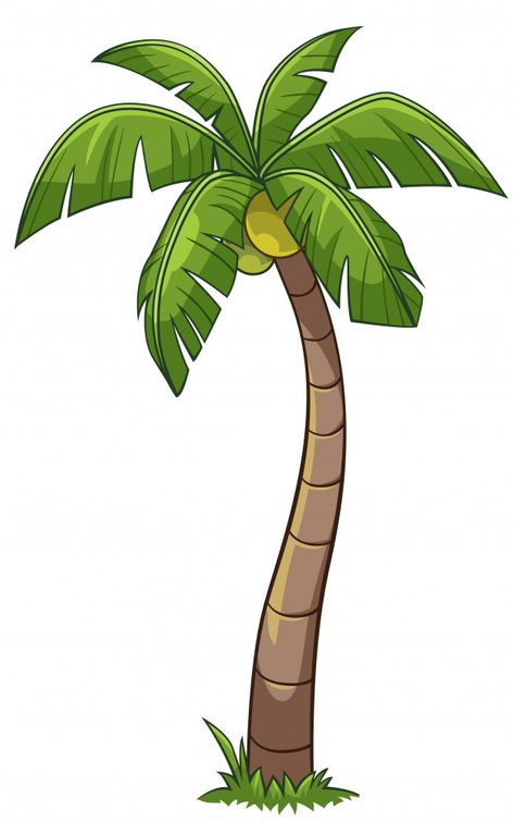 Coconut tree cartoon style Vector ... Coconut Tree Cartoon, Coconut Tree Drawing, Cartoon Palm Tree, Palm Tree Drawing, Tree Cartoon, Jungle Tree, Cartoon Trees, Coconut Palm Tree, Tree Clipart