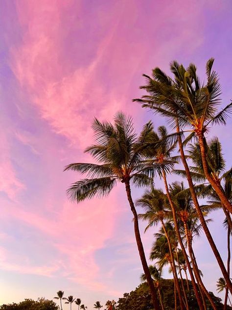 Golden Hour Nature, Aesthetic Beach Sunset, The Beach Sunset, Painted Skies, Sunsets Hawaii, Pretty Sunsets, Summer Aesthetic Beach, Pink Island, Instagram Filler