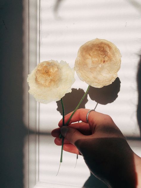 Dried Rose Buds, Pressed Ranunculus, Butterfly Ranunculus Bouquet, Blush Butterfly Ranunculus, Orange Butterfly Ranunculus, White Ranunculus, Ranunculus Flowers, Light Shadow, Pressed Flower Art