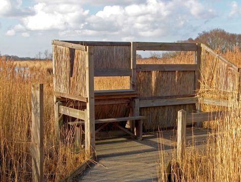 Bird hide! So awesome to have. Bird Watching Pavilion, Wildlife Pavilion, Bird Watching Tower, Bird Hide, Bird House Kits, Floating House, Nature Center, Garden Buildings, Backyard Birds