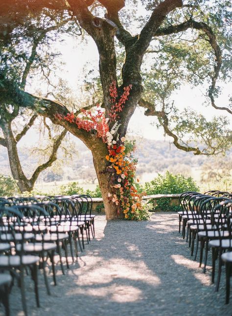 Tree Decor For Wedding, Fall Leaves Wedding Arch, Tree Ceremony Backdrop, Wedding Tree Ceremony, Wedding Tree Flowers, Flowers On Tree Wedding, Tree Wedding Alter, Wedding Alter Backdrops, Tree Flowers Wedding