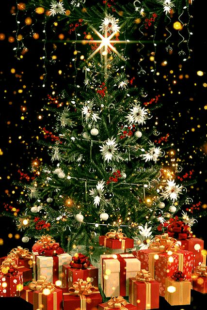 Christmas Tree Gif, Animated Christmas Pictures, Merry Christmas Animation, Christmas Tree Pictures, Merry Christmas Gif, Merry Christmas Wallpaper, Merry Christmas Pictures, Christmas Scenery, Merry Christmas Images