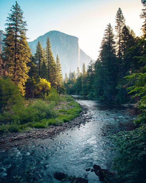 Yosemite Trip, Merced River, Hallway Art, Heavenly Places, National Park California, Forest Mountain, Scenery Nature, October 1, Beautiful Photos Of Nature