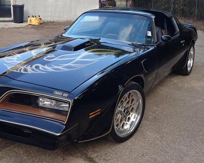 1977 Pontiac Trans Am (Dark Blue) Trans Am For Sale, Pontiac Trans Am, Smokey And The Bandit, Pontiac Firebird Trans Am, Pontiac Cars, Classic Cars Trucks Hot Rods, Firebird Trans Am, Trans Am, Pontiac Gto