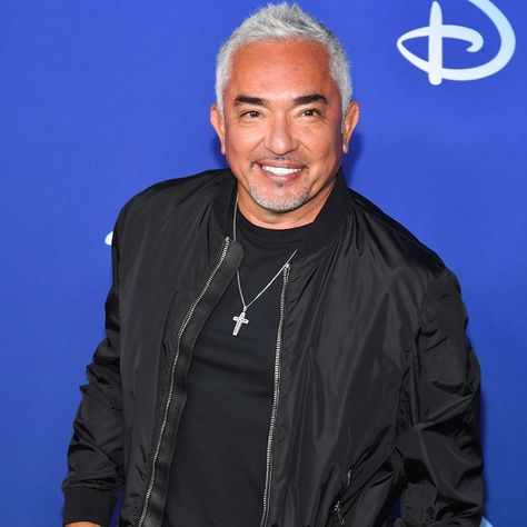 Having a ruff time keeping your dog in check? Here's a tip from Cesar Millan. The Dog Whisperer alum exclusively told E! News that one of the biggest problems dog parents often face is "feeling... Aggressive Dogs, Cesar Millan, Parenting Discipline, Dog Whisperer, People Dont Understand, Aggressive Dog, Dog People, Dog Safety, Dog Activities