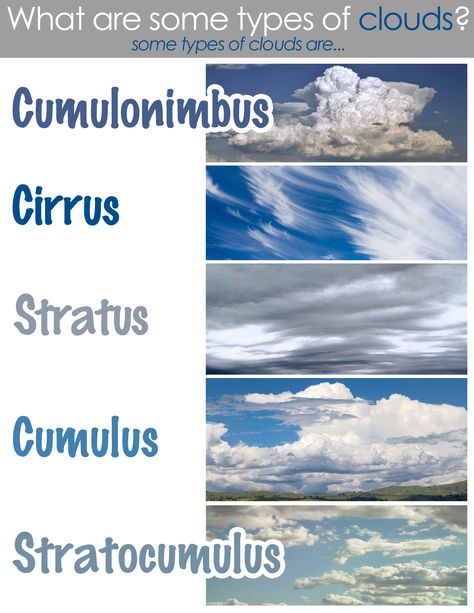 Classical Conversations: Cycle 1 Week 23-Science: Types of Clouds Different Kinds Of Clouds, Meteorology Notes, Clouds Types, Type Of Clouds, Types Of Cloud, Cloud Types, Cloud Tattoos, Types Of Clouds, Basic Geography