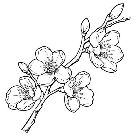 Premium Vector | Cherry flower blossom botanical art Spring almond sakura apple tree branch hand draw doodle vector illustration Cute black ink art isolated on white background Realistic floral bloom sketch Apple Tree Drawing, Apple Blossom Tattoos, Art Class Posters, Apple Tree Branch, Cherry Blossom Vector, Cherry Blossom Drawing, Branch Drawing, Black Ink Art, Cherry Blossoms Illustration