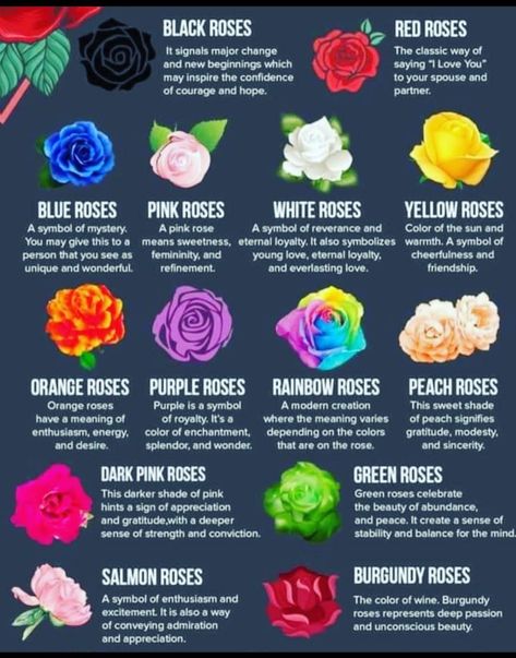 Worldly Things, Rose Color Meanings, Instagram Roses, Basic Japanese Words, Plant Magic, Writing Prompts For Writers, Creative Writing Tips, Flower Meanings, Coloring Inspiration