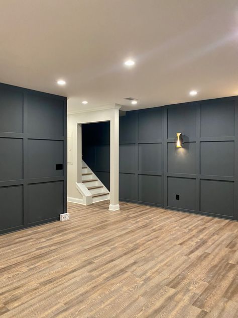 Basement Project - Canton, GA - Basement - Atlanta - by BCM London Inc. | Houzz Black Walls In Basement, Dark Wall Basement Ideas, Basement Family Room Paint Colors, Basement Colors Ideas, Basement Accent Wall, Moody Basement, Bedroom Ideas Basement, Basement Wall Colors, Basement Living Room Ideas