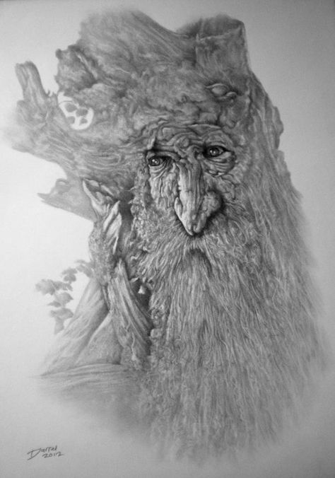 A fine drawing of Treebeard, one of my favourite characters from The Lord of the Rings by J.R.R. Tolkien. Treebeard Drawing, Treebeard Art, Lord Of The Rings Drawing, Rings Drawing, Fine Drawing, Lotr Trilogy, Lord Of The Rings Tattoo, Alan Lee, John Howe