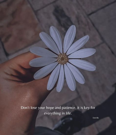 Hope Quotes Positive, Agree Quotes, Nature Quotes Beautiful, Flower Quotes Inspirational, Relax Quotes, Patience Quotes, Inspirational Quotes Background, Life Is Beautiful Quotes, Bliss Quotes