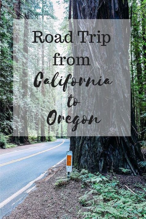 Where to eat, sleep & stay along Highway 1 and Highway 101 // Article by Making Thyme for Health Highway 101 Road Trip, Oregon Roadtrip, Highway 101, Oregon Road Trip, Mammoth Cave, The Oregon Trail, West Coast Road Trip, Highway 1, Us Road Trip