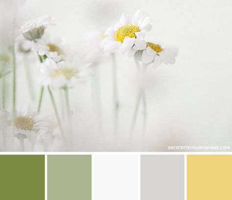 Color Palette // Daisies Secret Garden | Oh Everything Handmade Daisy Colour Palette, Daisy Color Palette, Pale White, Yellow Colour Scheme, Daisy Wedding, 50th Anniversary Party, Garden Watercolor, Wedding Palette, Paint Projects