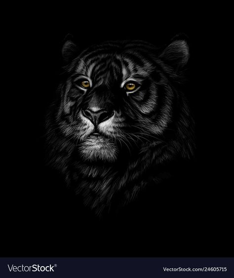 Tiger Fotografie, Art Tigre, Wild Animal Wallpaper, Tiger Canvas, Tiger Poster, Tiger Drawing, Tiger Wallpaper, Lion Photography, Black Paper Drawing