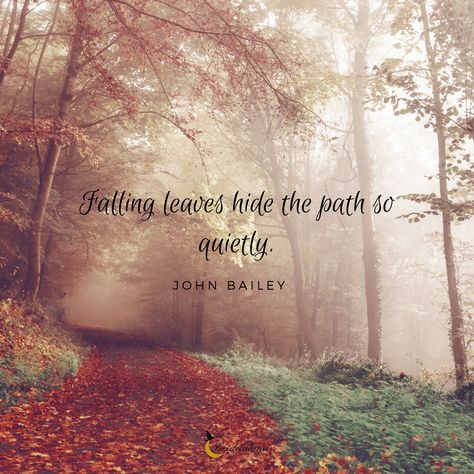 “FALLING LEAVES HIDE THE PATH SO QUIETLY.” – JOHN BAILEY Falling Leaves Quotes, Autumn Leaves Quotes, Leaves Quotes, Autumn Quotes Inspirational, Fall Sayings, Leaf Quotes, Autumn Poems, Fall Quotes, Season Quotes