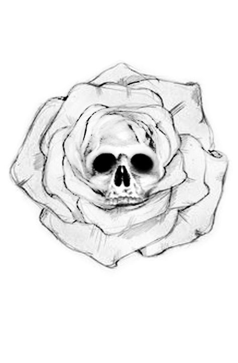 Skull Inside Rose Tattoo, Rose With Skull Inside Tattoo, Skull Rose Drawing, Skull With Rose In Mouth, Rose And Skull Tattoo, Skull Roses Tattoo, Skull Pfp, Skull And Flower Tattoo, Skull And Rose Drawing