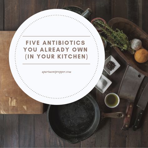 In case of a long term disaster  it's good to know about possible anti-viral and anti-bacterial remedies you may have right in your kitchen. https://apartmentprepper.com/five-antibiotics-you-already-own-in-your-kitchen/ Five Antibiotics You Already Own (in Your Kitchen) - Apartment Prepper  #apartmentprepper #preppertalk #homeremedies Homemade Antibiotic, Home Remedies For Spiders, Bone Infection, Natural Antibiotic, Natural Antibiotics, Bacterial Infection, Tooth Decay, Emergency Preparedness, Guest Post