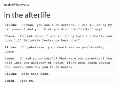 Marauders One Shots, Marauders Afterlife, Sirius Headcannons, Harry Potter Headcannons The Marauders, Harry Potter The Marauders, Tumblr Harry Potter, Maxon Schreave, Harry Potter Memes Hilarious, Harry Potter Feels