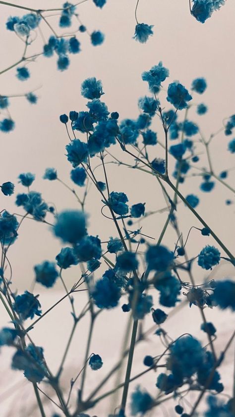 Blue Flower Aesthetic Wallpaper, The Best Wallpapers, Blue Flower Wallpaper, Iphone Wallpaper Landscape, Best Wallpapers, Witchy Wallpaper, Floral Wallpaper Phone, Pretty Phone Wallpaper, Pure Energy