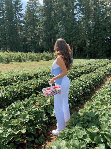 Strawberry Picking Pictures, Strawberry Picking Outfit, Strawberry Field, Blueberry Farm, Strawberry Farm, Strawberry Picking, Baguio, Garden Pictures, Life Pictures