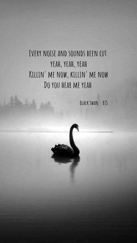 Bangtan Boys Wallpaper with Black Swan lyrics Black Swan Bts Aesthetic, Bts Lyrics Wallpaper Aesthetic Black, Black Swan Quotes, Black Swan Lyrics, Black Swan Bts Wallpaper, Black Swan Wallpaper, Laura Core, Black Swan Bts, Bts Black Swan