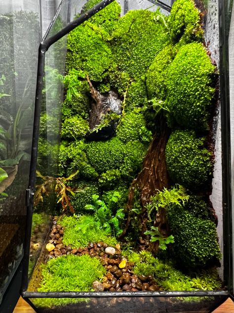 Moss wall in vintage glass geometric terrarium. Terrarium House, Jar Terrarium, Geometric Terrarium, Moss Terrarium, Moss Wall, Minimal Style, Minimal Fashion, Terrarium, Apartment