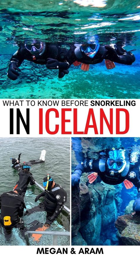 Are you looking for the best Silfra snorkeling tours for your Iceland trip? These are your snorkeling in Silfra questions answered, including how to book it! | Snorkeling in Iceland | Iceland snorkeling | Thingvellir snorkeling | Snorkeling in Thingvellir National Park | Snorkeling in Silfra fissure | Snorkeling tours in Silfra | Snorkeling tours in Iceland | Best water activities in Iceland | Things to do in Thingvellir National Park | Iceland in winter tour | Iceland in summer tours Iceland In Winter, Travel To Iceland, Iceland Summer, Iceland Travel Guide, The Golden Circle, Thingvellir National Park, Iceland Trip, Golden Circle, Best Water