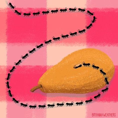 Bryanna Weathers (@brysart) | Instagram Ant Trail, Make A Stamp, Summer Illustrations, Procreate Illustration, Summer Illustration, Summer Art, I Can't Wait, Ants, Gingham