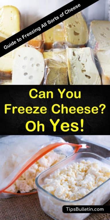 Can You Freeze Cheese? - Yes! The Ultimate Guide to Freezing All Sorts of Cheeses Freeze Cheese How To, How To Freeze Cheese, Freeze Cheese, Freezing Cheese, Freezing Milk, Freezing Food Guide, Resep Makanan Beku, Freeze Dried Food Storage, Freeze Food