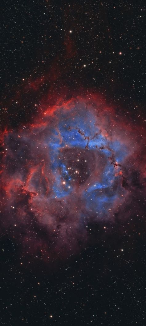 NGC-2237/44 the Rosette Nebula in narrowband filters cropped mobile wallpaper 1080x2400 Space Core, Observable Universe, Rosette Nebula, Nebula Wallpaper, Sanctum Sanctorum, Galaxy Images, Night Sky Photography, Inspiring Spaces, Gods Creation