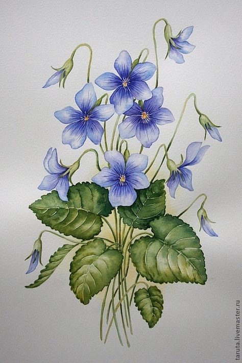 Violet & Pansy Yellow Decorations, Jacket Painting, Paintings Tutorials, Watercolor Beginner, Illustration Botanique, Watercolor Flower Art, Flower Paintings, China Painting, Botanical Painting