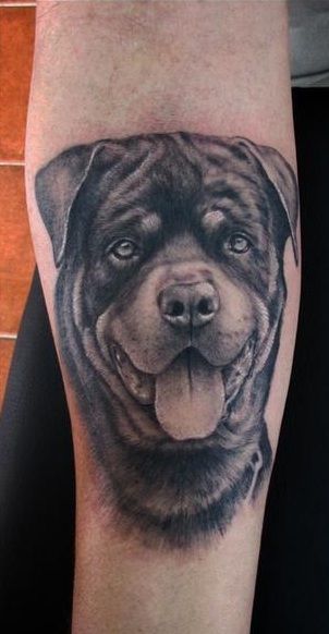 18 Rottweiler Tattoo Designs You'll Love | The Dogman Rottweiler Tattoo, Puppy Tattoo, Rottweiler Breed, Dog Memorial Tattoos, Biker Tattoos, Dog Stories, Memorial Tattoos, A Best Friend, Rottweiler Dog