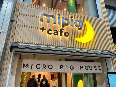 7 Animal Cafes In Japan To Check Out Cafes In Japan, Japanese Cat Cafe, Cat Cafe London, Pet Cafe, Animal Cafes In Tokyo, Cafe Japan, Kamio Japan Cafe Cafe, Cat Cafe Japan Aesthetic, Scary Animals