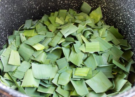 Iris leaves as a source of paper and pigment – Threadborne Geranium Leaves, Making A Book, Eco Dyeing Fabric, Tinta Natural, Somerset Studio, Diy Dye, Soda Ash, Painting Fabric, Natural Dye Fabric