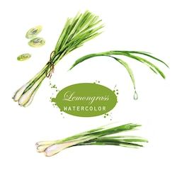 Lemongrass Plant, Herbs Illustration, Image Nature, Plant Drawing, Scented Oils, Natural Food, Lemon Grass, Restaurant Design, Fragrance Oil