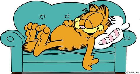 #nap #sleep #kitty Garfield Quotes, Garfield Wallpaper, Tanda Tanya, Garfield Pictures, Garfield Images, Garfield Christmas, Garfield Cartoon, Garfield Cat, Garfield Comics