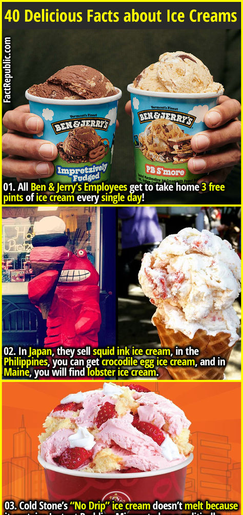 01. All Ben & Jerry’s Employees get to take home 3 free pints of ice cream every single day! Crocodile Eggs, Ice Cream Facts, Dq Ice Cream, Pint Of Ice Cream, Fact Republic, Ice Cream Man, Instant Pudding Mix, Ice Cream Treats, Ben And Jerrys