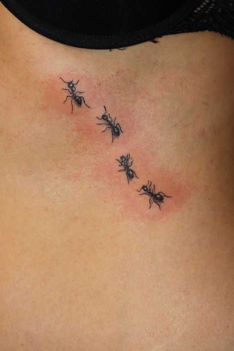 Bugs Tattoo Insects, Ant Tattoo Cute, Small Insect Tattoo, Little Bug Tattoo, Small Bug Tattoo, Bug Tattoo Design, Ants Tattoo, Bug Tattoo Ideas, Insect Tattoos