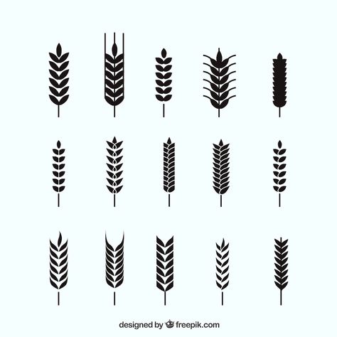 Wheat Graphic, Barley Tattoo, Vector Silhouette, Silhouette Images, Barley, Wheat, Graphic Resources, Art Ideas, Vector Free