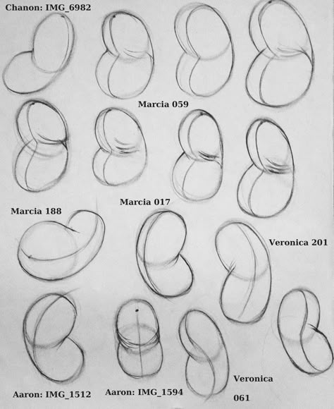 Easy Drawing Anatomy, The Bean Figure Drawing, Bean Body Tutorial, Shape Anatomy Drawing, Torso Bean Method, Bean Bag Drawing Reference, Bean Drawing Technique, Bean Method Art, Bean Body Drawing