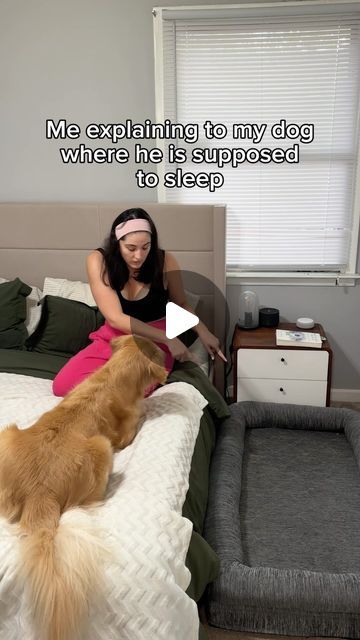 🐻‍❄️Ollie & 🙋🏻‍♀️Paloma on Instagram: "🤷🏻‍♀️

#goldenretriever #dogmom #latinadogmom #dogmomlife #petparents #goldenretrievermom #goldenbearollie #savannahga #pupfluencer 
 #cutedogs #cutedog #dogcomedy #funnydog #funnyreels #goldenretrieverlover #doglover #puppiesofinstagram #dogreels #goldenlovers #dailyfluff #savannahdogs 
IB @chava.frayre 

Do you let your dog sleep on the bed?" Dog Sleep, Golden Retriever Mom, Golden Bear, Sleeping Dogs, Savannah Ga, Paloma, Dog Mom, Funny Dogs, Savannah Chat