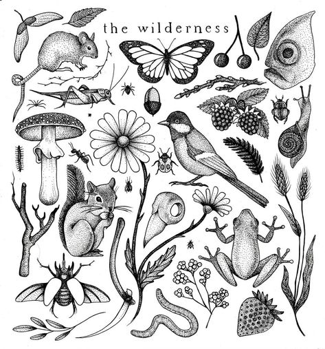 the wilderness flash sheet 🐞 I want to step up my dotwork game. If you want to get a tattoo of any of these pieces for cheap prices, hit me… Botanical Patchwork Tattoo, Paris Paloma, Ignorant Tattoo, Tattoos Creative, Tattoo Sleeve Filler, Nature Tattoo Sleeve, Tattoo Filler, Bug Tattoo, Insect Tattoo