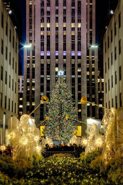 Christmas Tree Rockefeller Center, Christmas Tattoos, New York Noel, Nyc In December, Christmas In America, Rockefeller Center Christmas Tree, Winter Nyc, Christmas Tattoo, Australian Christmas